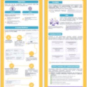 размытый скриншот платного продукта